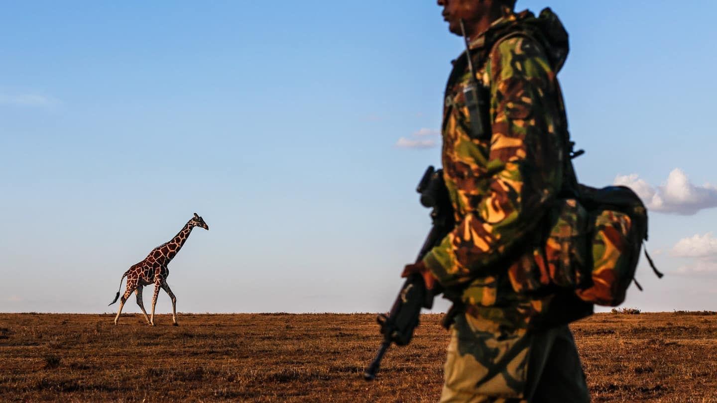 Namibia’s Fight Against Poaching