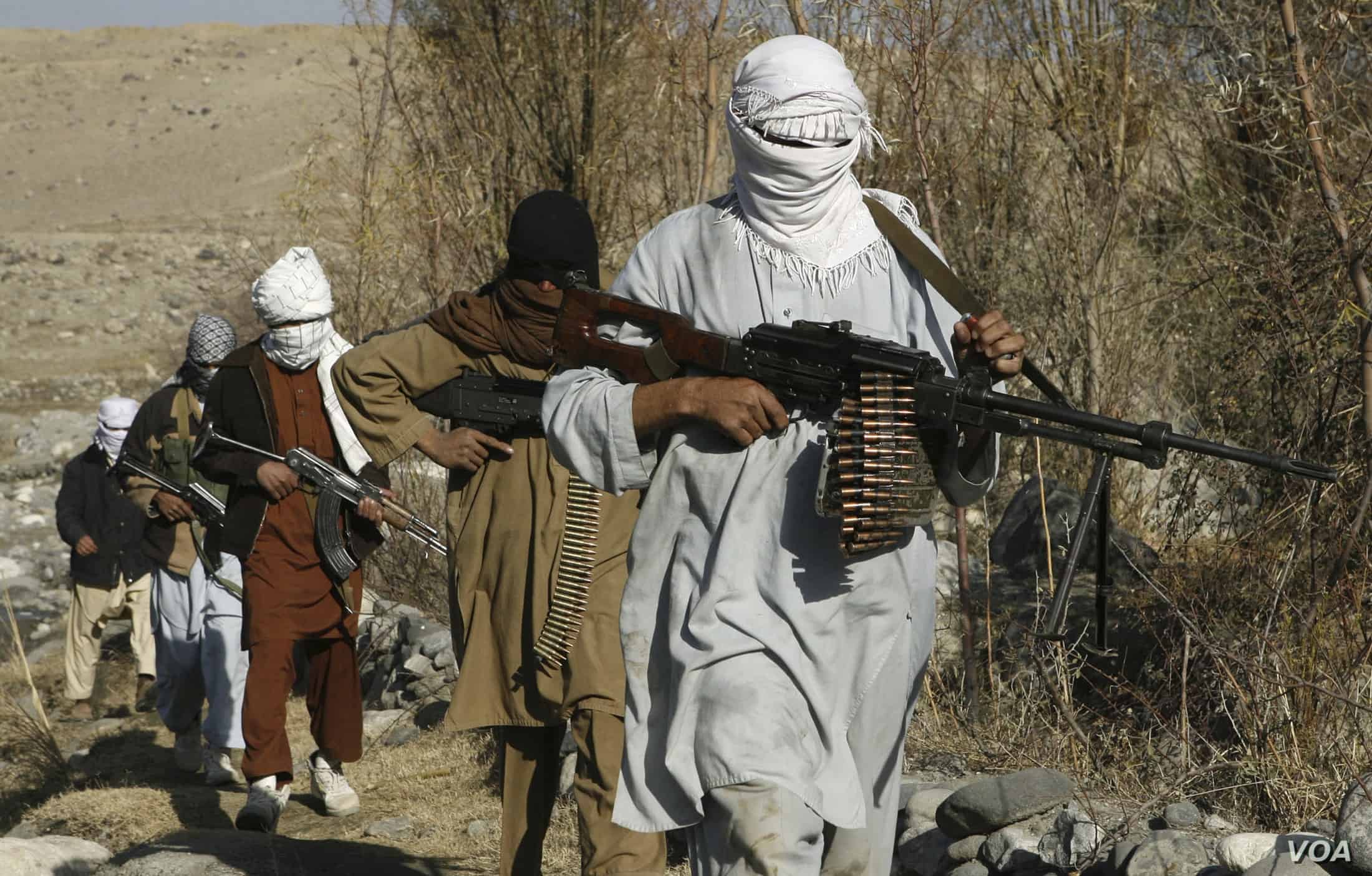 Taliban's 2019 Summer Offensive